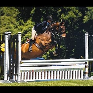 Meet your Posher, Alex